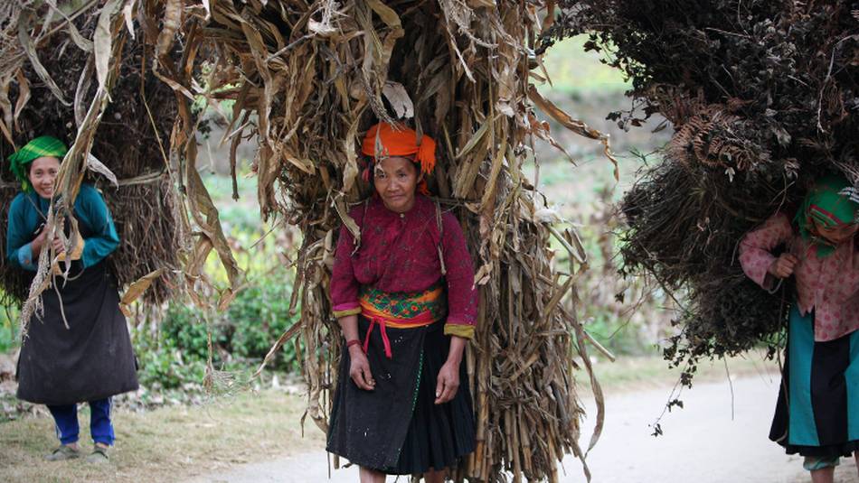 Local women working hard in Ha Giang