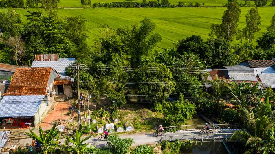 Verdant scenery as we cycle along the Mekong Delta | Lachlan Gardiner