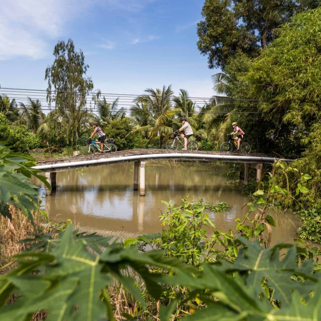 Verdant landscapes cycling along the Mekong Delta | Lachlan Gardiner