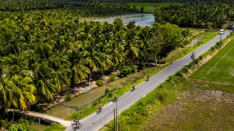 Lush vegetation across the Mekong Delta | Lachlan Gardiner
