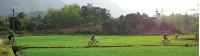 Riding through rice paddies in northern Vietnam -  Photo: Amanda Fletcher