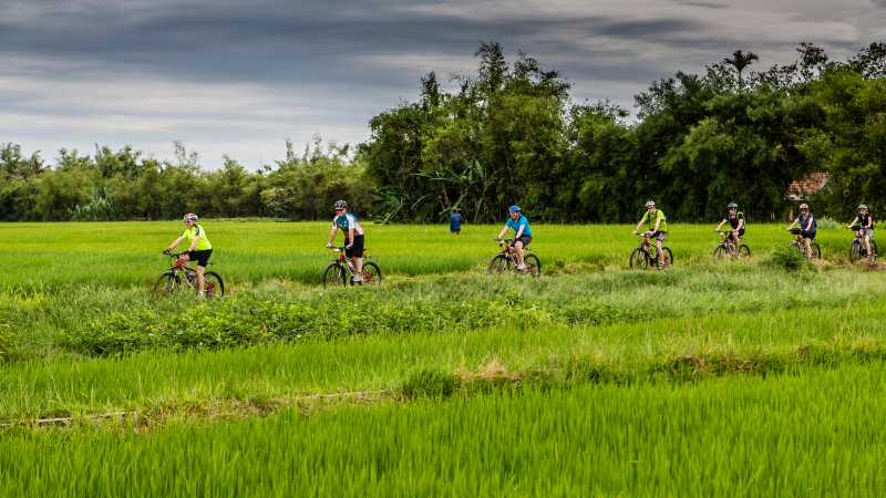 Rice paddy cycling in Vietnam | Richard I'Anson