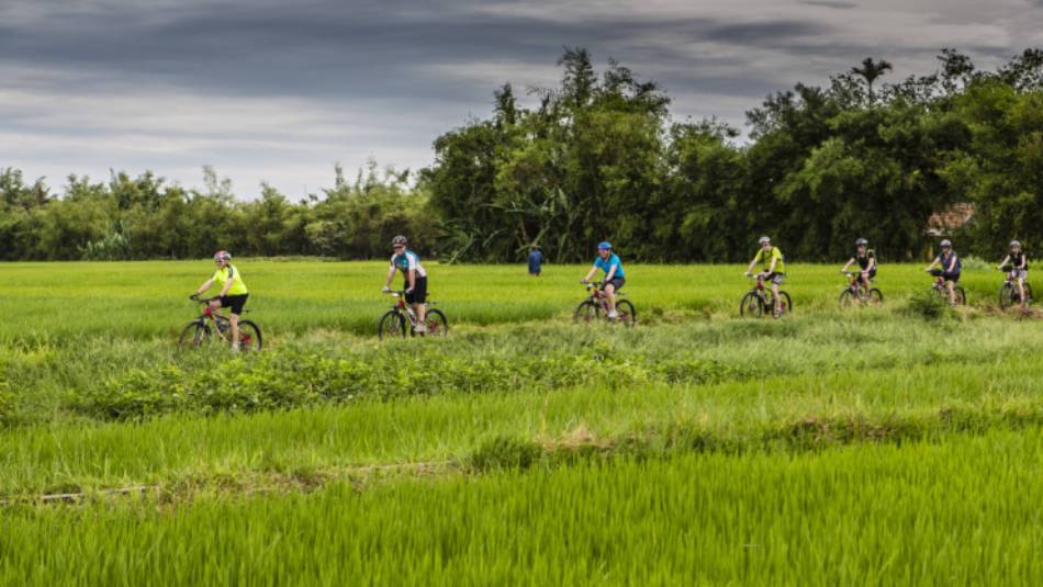 Rice paddy cycling in Vietnam | Richard I'Anson