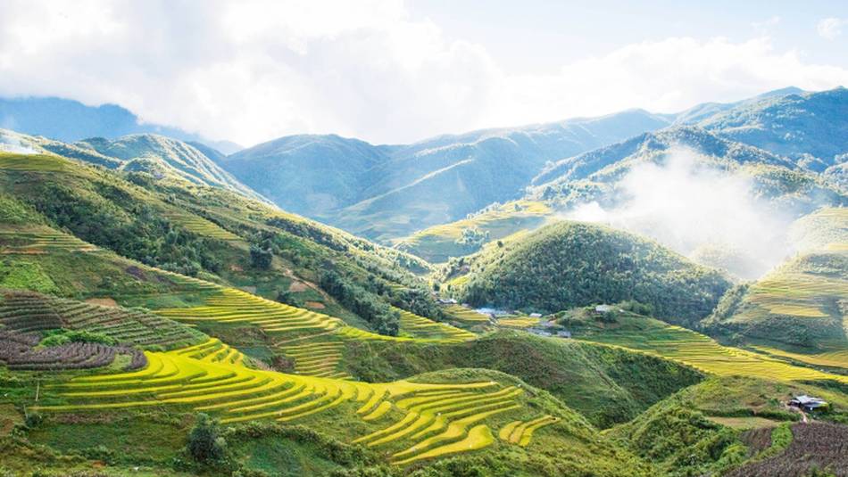 The famous rice field terraces of Northern Vietnam