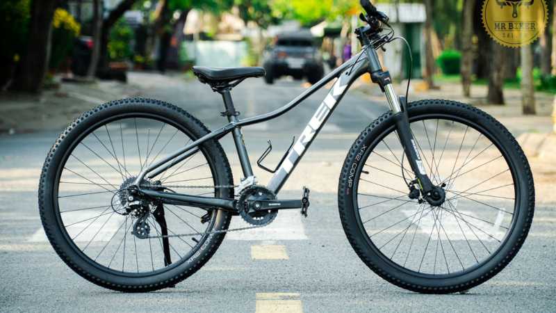 Trek Marlin Mountain Bike