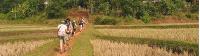 Walking through villages and rice paddy's on the Mai chau trek, Vietnam -  Photo: Asia DMC