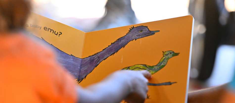 Please support this Australian Regenerative Travel Project