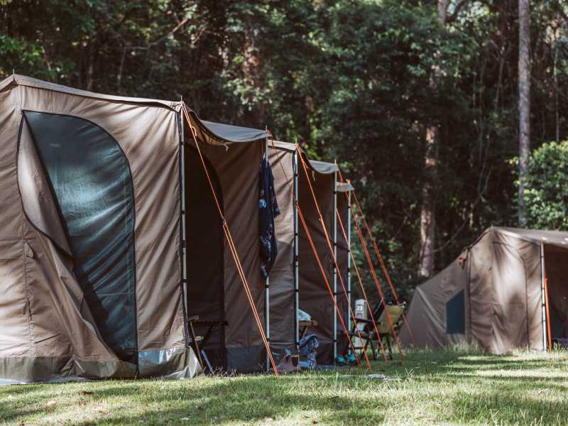 Stay in comfortable camps each night