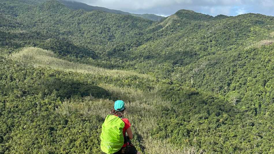 The sweeping views over the forested ranges