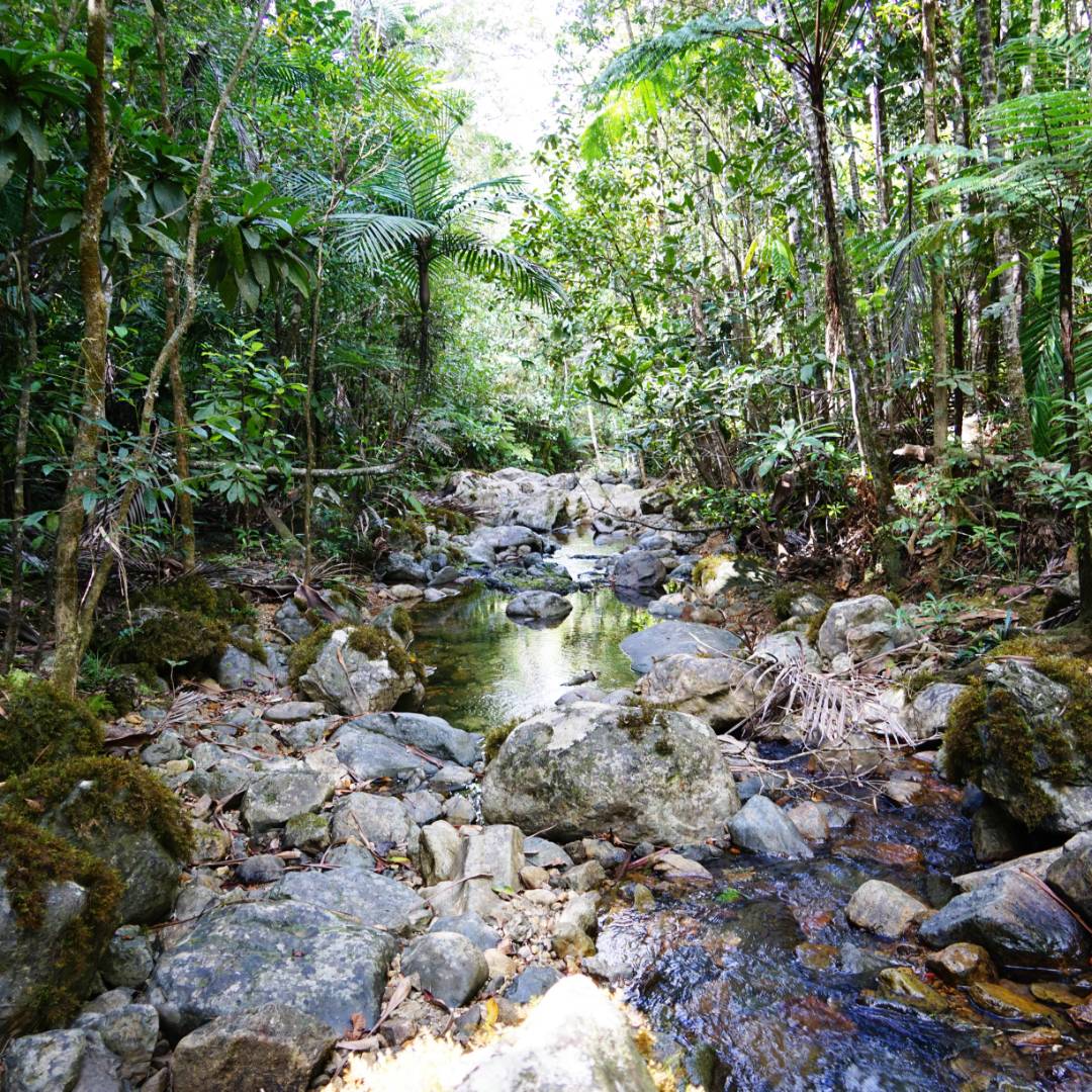 New Caledonia Villages Hiking Tour | GR Nord New Caledonia Trek | World ...