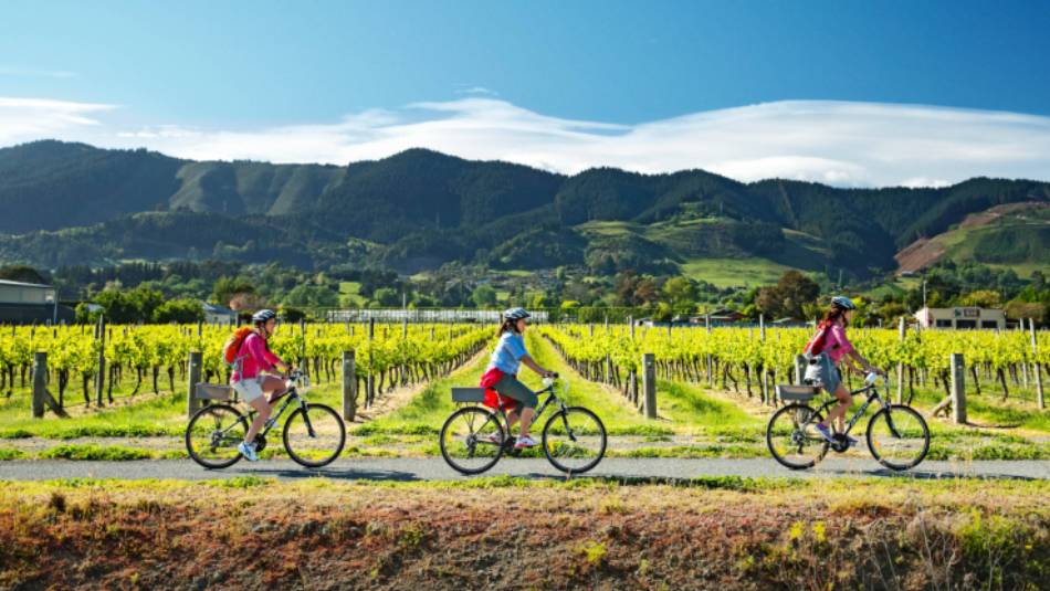 Cycling along the Nelson Great Taste Trail | Dean McKenzie