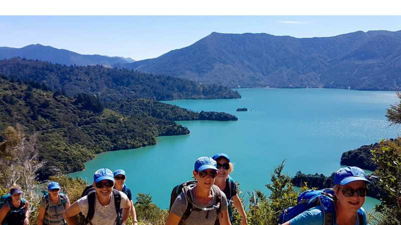 Trekking above Marlborough Sounds | Ross Daubney