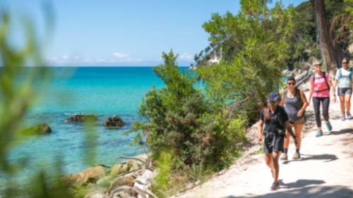 People walking along water in Abel Tasman NP | Tourism New Zealand