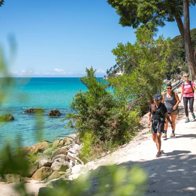 People walking along water in Abel Tasman NP | Tourism New Zealand