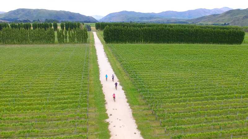 Cycling through Pasquale Kurow Winery | Daniel Thour