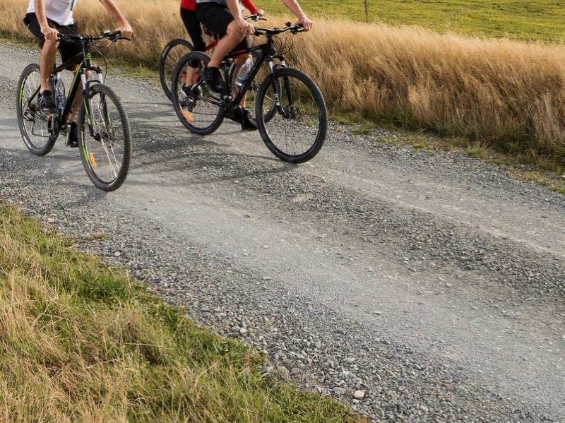 Cycling through farmland near Lake Wakatipu | Southern Discoveries