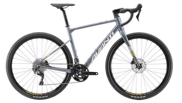 Avanti Gravel Bike