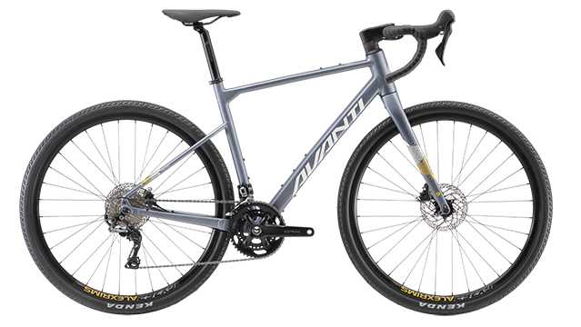 Avanti Gravel Bike