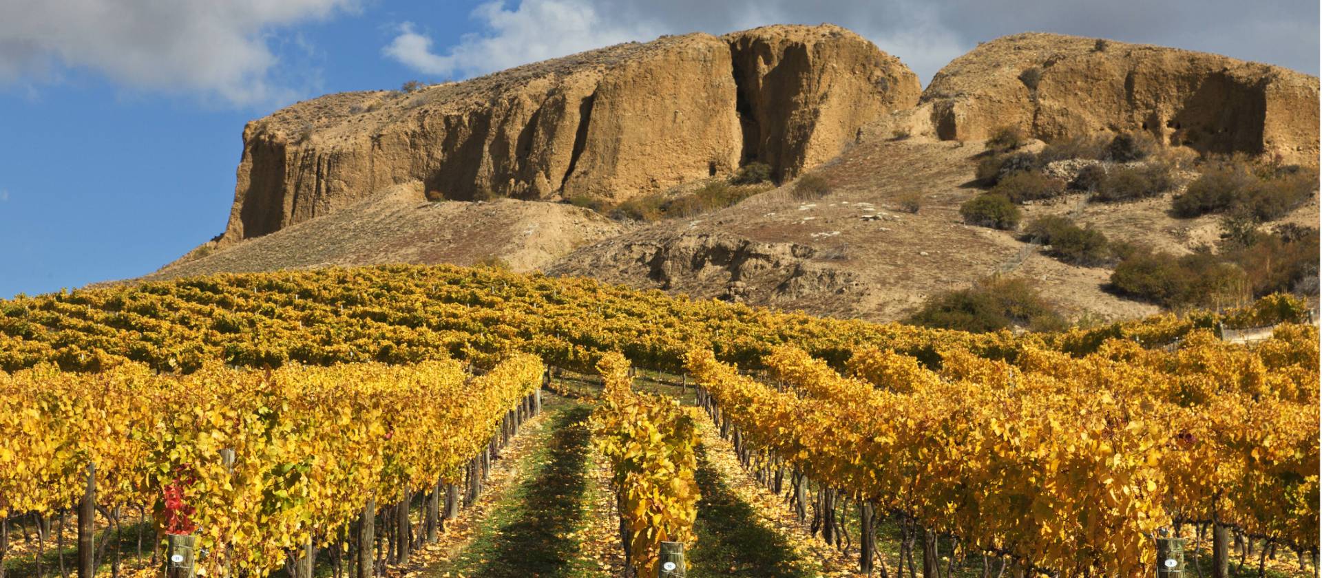 Central Otago Wine and Trail 3 Day Escape