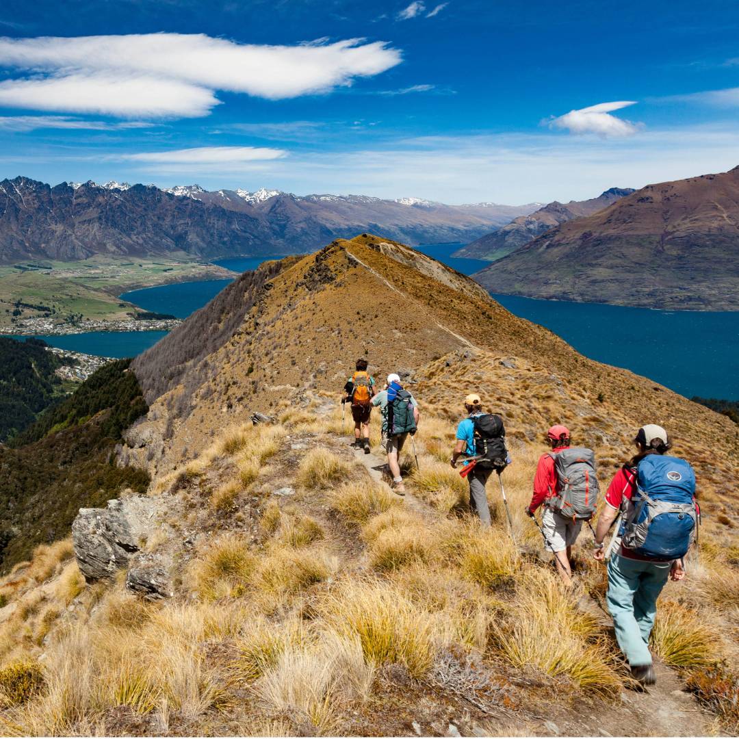 Southern　Zealand　Best　Holiday　Trekking　of　Alps　New