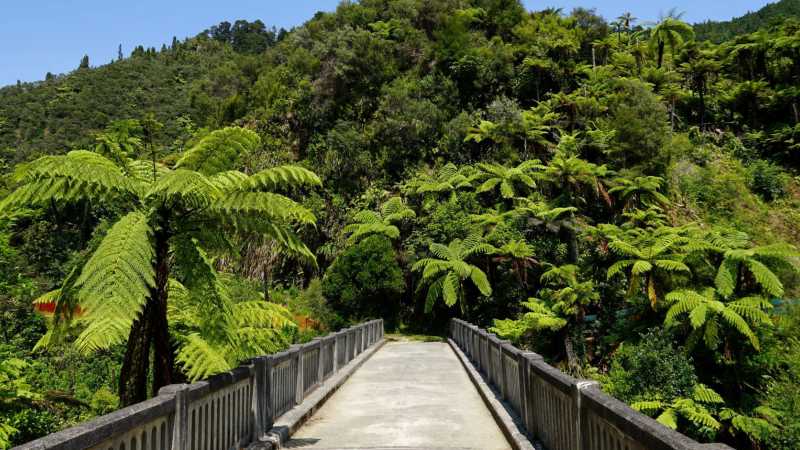 Scenery along the Mt Ruapehu & the 3 Rivers cycle | Janina Delissen