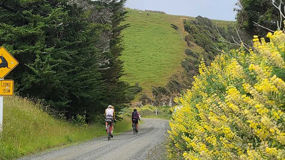 Heading to Cannibal Bay, Southland | Annie Lowerson