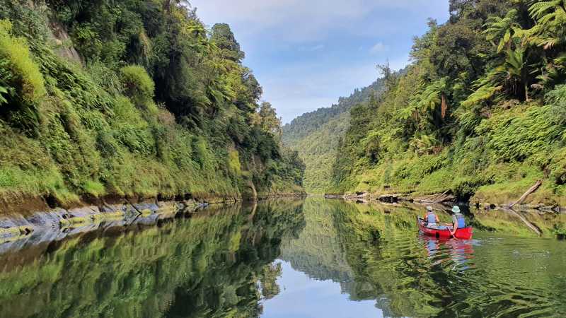 Pristine and relaxing nature along the Whanganui Journey