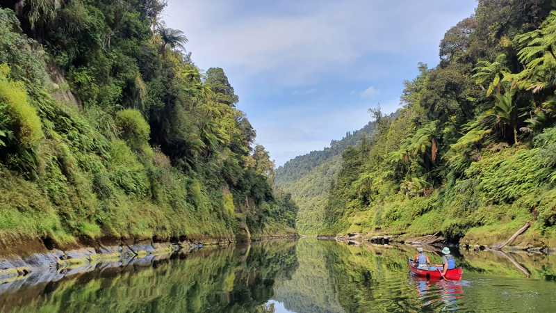 Pristine and relaxing nature along the Whanganui Journey