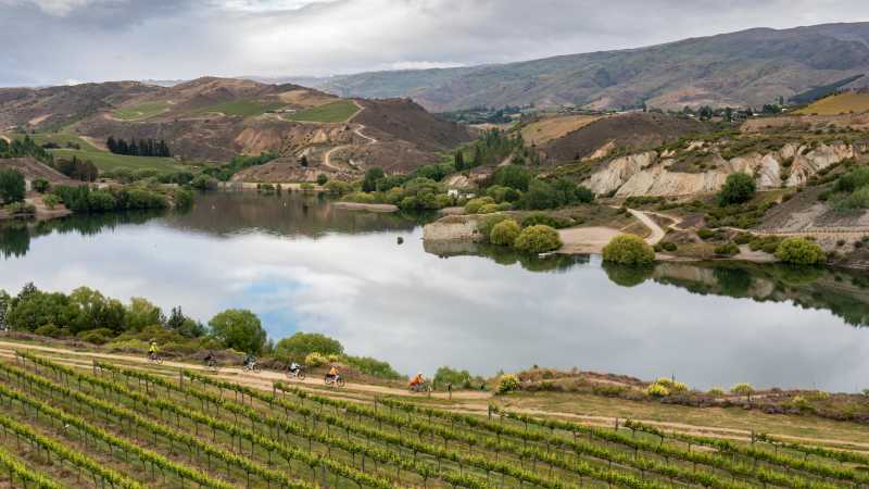 Cyclists ride along the edge of Carrick Winery Vineyard, with Bannockburn Inlet in the background. | Geoff Marks