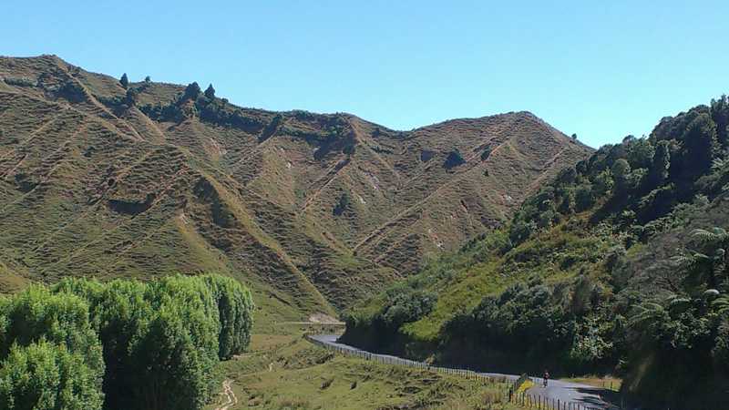 Enjoying the serenity riding through the Central North Island | Guide Anne Lowerson