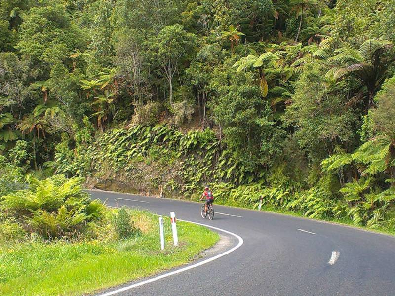 Enjoying the serenity riding through the Central North Island | Guide Anne Lowerson