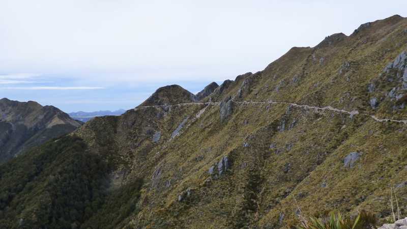 It's easy to see where the trail goes | Janet Oldham