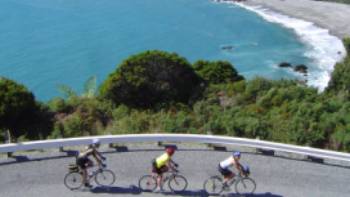 Cyclists working their way up the West Coast of the South Island