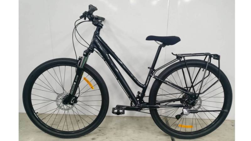 Avanti Discovery Low Step 2020