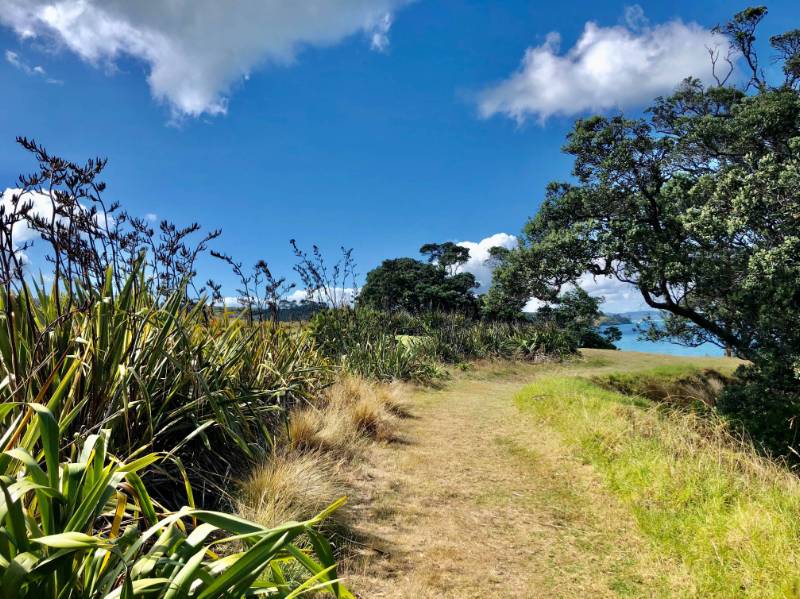 The Te Ara Hura is a mix of track conditions including grassy | Natalie Tambolash