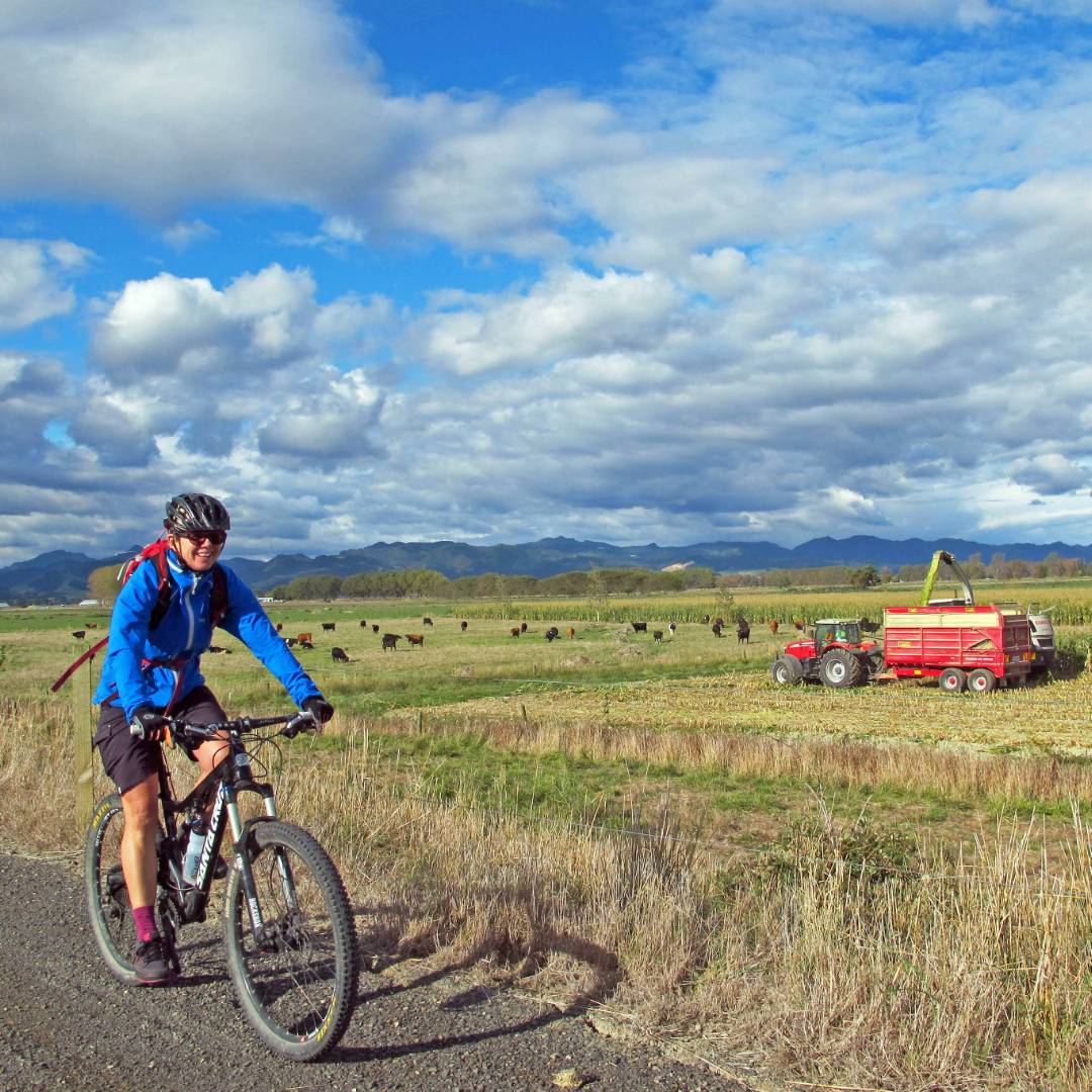 hauraki rail trail shuttle