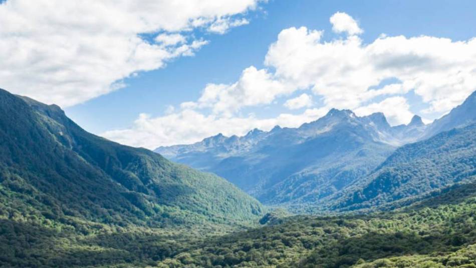 View of Hollyford Valley from Key Summit | Douglas McKay