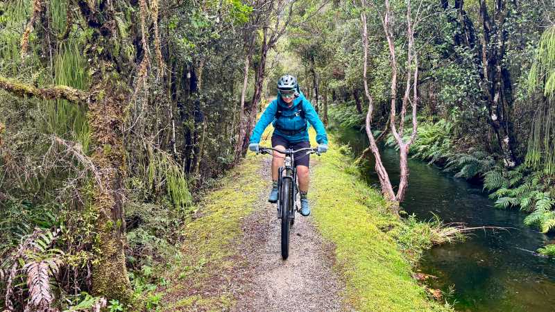 Enjoying the West Coast Wilderness Trail | Tracey Croke
