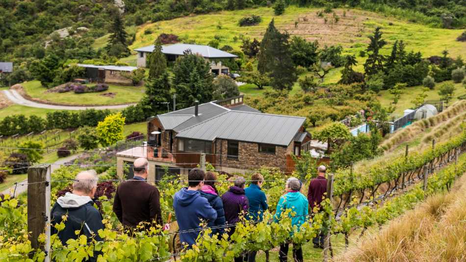 Visit the local Clyde Village Vineyard | Lachlan Gardiner