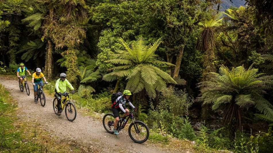 Cycle through lush native bush and birdsong | Lachlan Gardiner