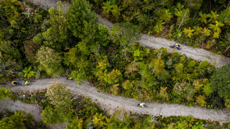 Cycling through the West Coast wetlands in New Zealand | Lachlan Gardiner