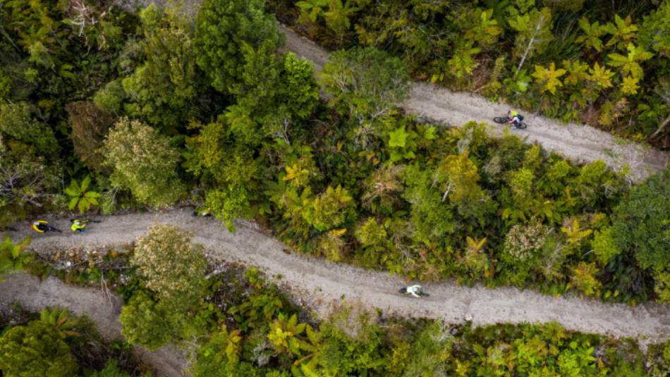Cycling through the West Coast wetlands in New Zealand | Lachlan Gardiner
