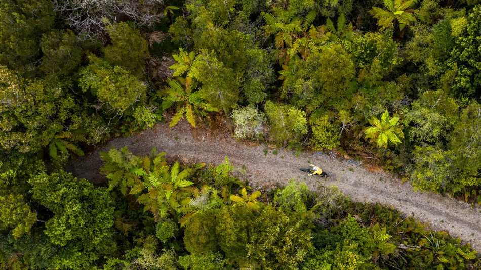 Cycling through the West Coast wetlands | Lachlan Gardiner