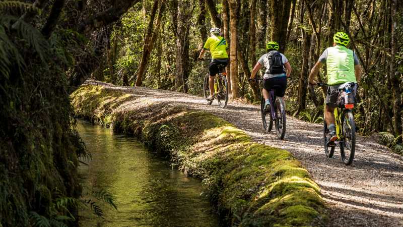 West Coast Wilderness Cycle Trail | Lachlan Gardiner