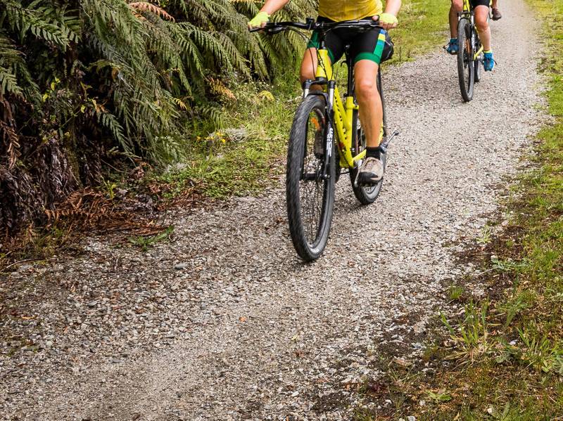 West Coast Wilderness Cycle Trail | Lachlan Gardiner