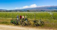 Checking out the vineyards on the Otago Central Rail Trail |  <i>Lachlan Gardiner</i>