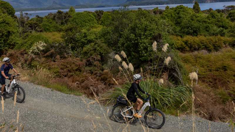 Ride between two gorgeous Fiordland Lakes, Te Anau and Manapouri, spotting unique native flora & fauna along the way! | Izzi Barton