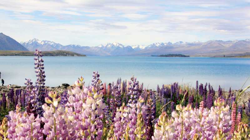 The beauty of Lake Tekapo and its surroundings is ideal for photos | Learna Cale