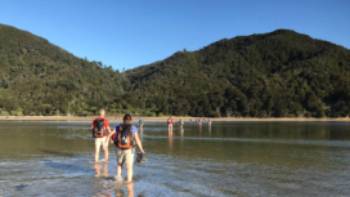 Low tide makes crossing easier at the Awaroa Inlet