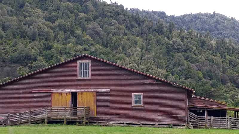 Typical North Island farm shed | Anne Lowerson